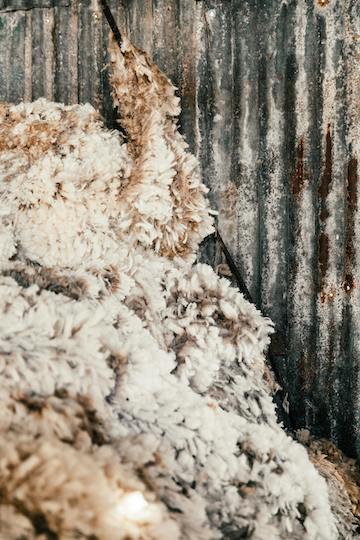 Photo of rusty metal and sheep's wool by Rachel Claire on Pexels